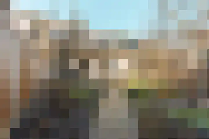 Hibiscusstraat 4 Almere thumbnail 56