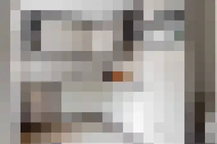Hicksweg 18 Renkum thumbnail 11