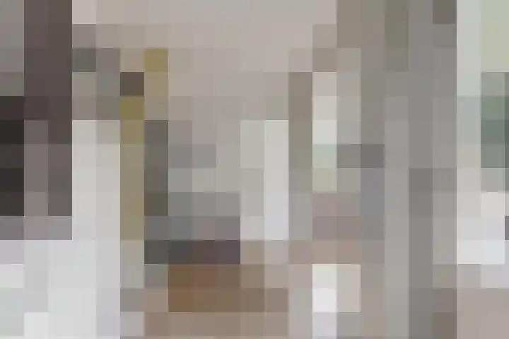 Hicksweg 18 Renkum thumbnail 12