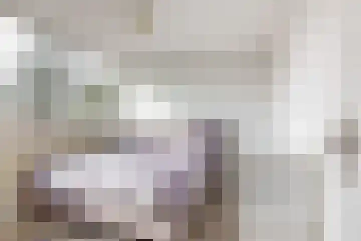 Hicksweg 18 Renkum thumbnail 14