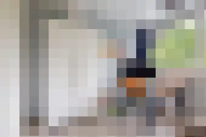 Hicksweg 18 Renkum thumbnail 18