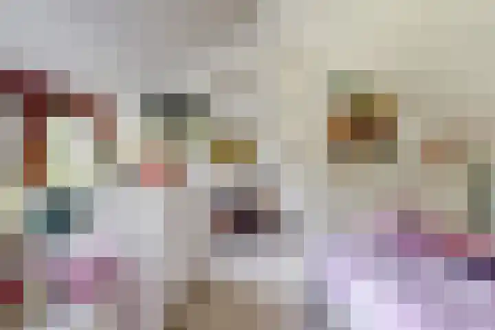 Hicksweg 18 Renkum thumbnail 23