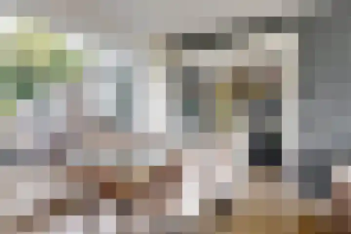 Hicksweg 18 Renkum thumbnail 5
