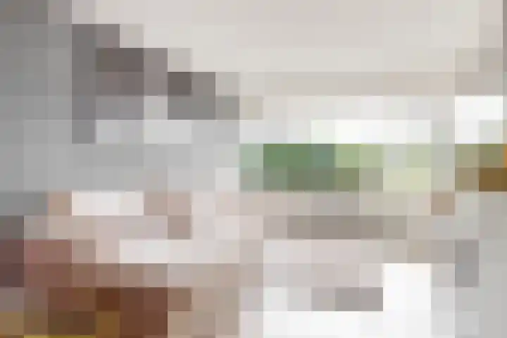 Hicksweg 18 Renkum thumbnail 7