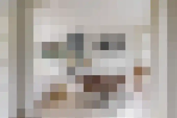Hicksweg 18 Renkum thumbnail 9