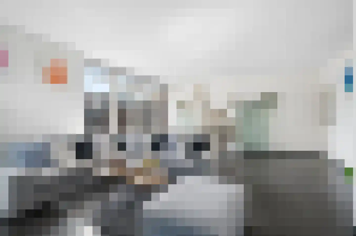 Hicksweg 23 Renkum thumbnail 8