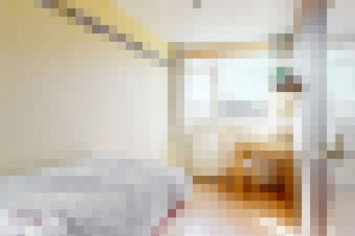 Hicksweg 39 Renkum thumbnail 21
