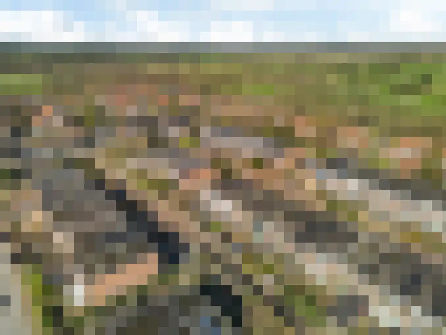 Hicksweg 39 Renkum thumbnail 34