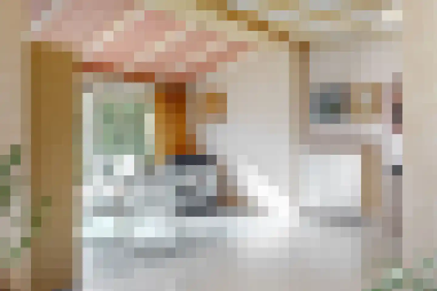 Hicksweg 39 Renkum thumbnail 5