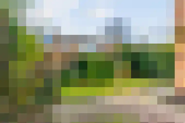 Hicksweg 41 Renkum thumbnail 26