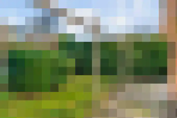 Hicksweg 41 Renkum thumbnail 27