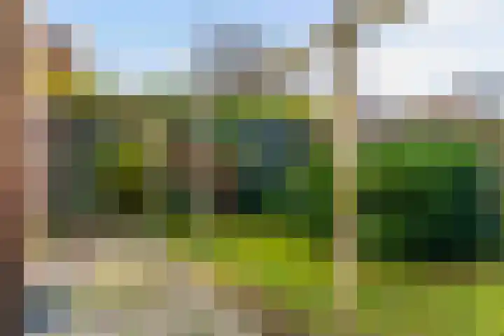 Hicksweg 41 Renkum thumbnail 28
