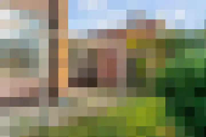 Hicksweg 41 Renkum thumbnail 29