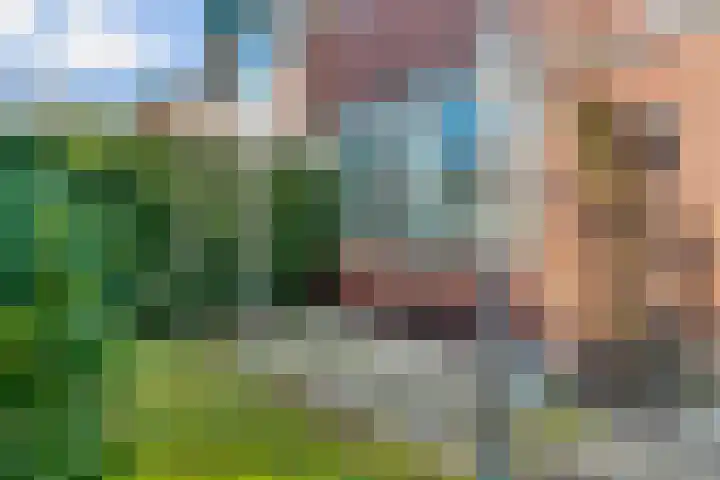 Hicksweg 41 Renkum thumbnail 31
