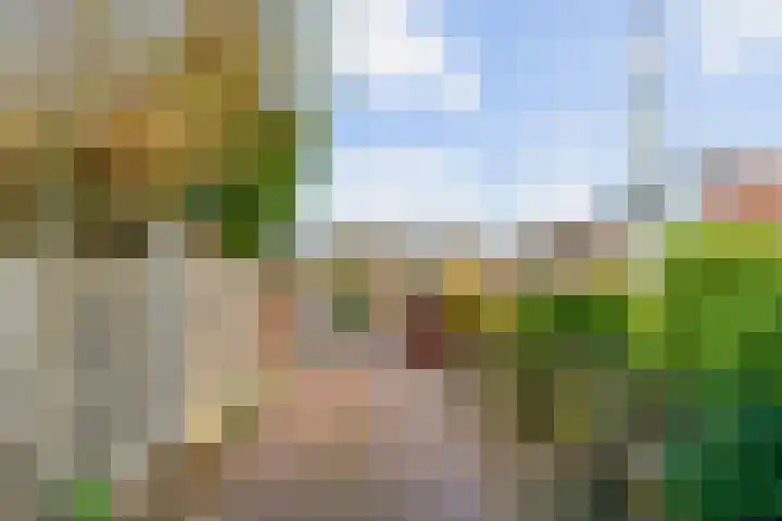 Hicksweg 41 Renkum thumbnail 36