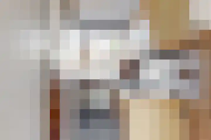 Hicksweg 41 Renkum thumbnail 9
