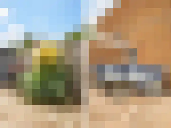 Hicksweg 65 Renkum thumbnail 22