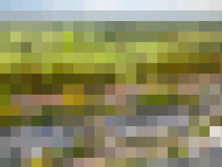 Hicksweg 65 Renkum thumbnail 26