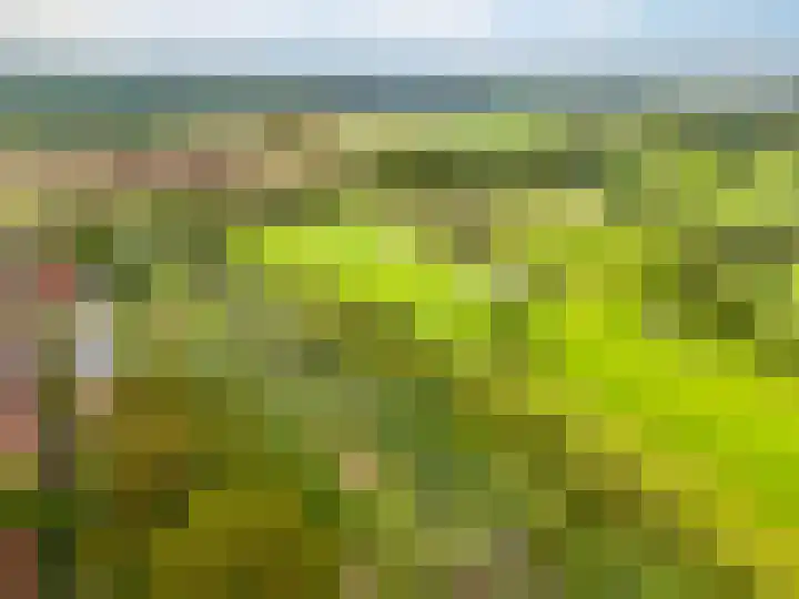 Hicksweg 65 Renkum thumbnail 27