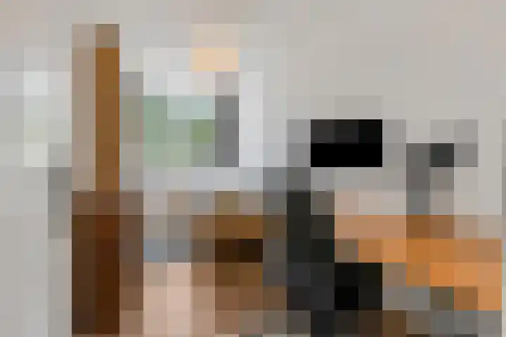 Hicksweg 7 Renkum thumbnail 13