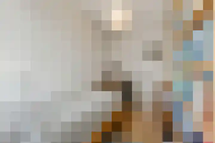 Hicksweg 7 Renkum thumbnail 14