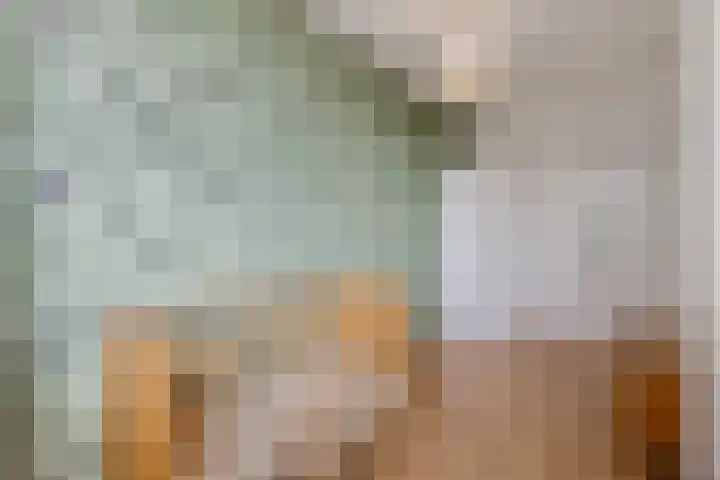 Hicksweg 7 Renkum thumbnail 15