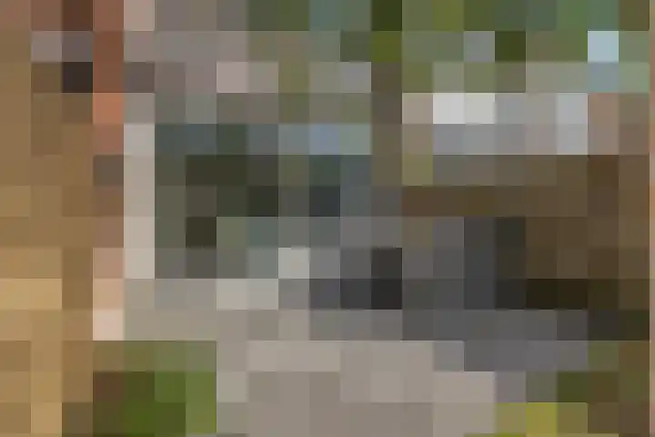 Hicksweg 7 Renkum thumbnail 20