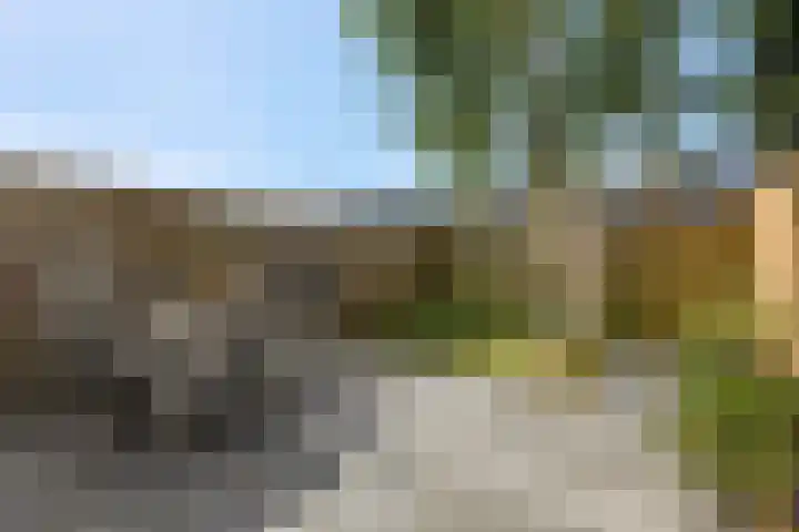 Hicksweg 7 Renkum thumbnail 21
