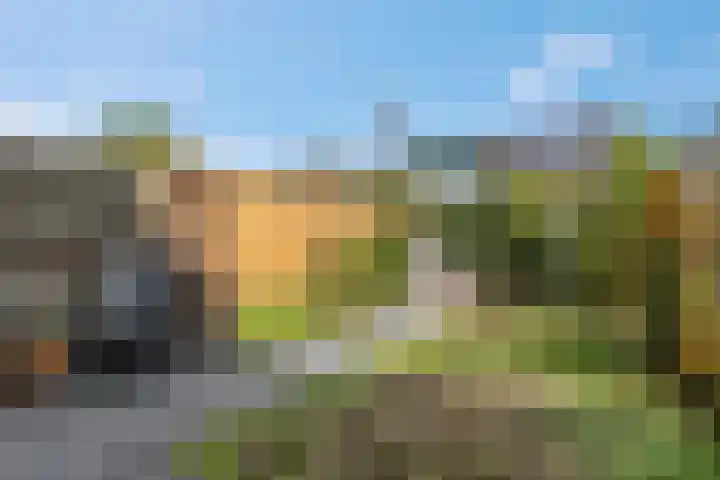 Hicksweg 7 Renkum thumbnail 22