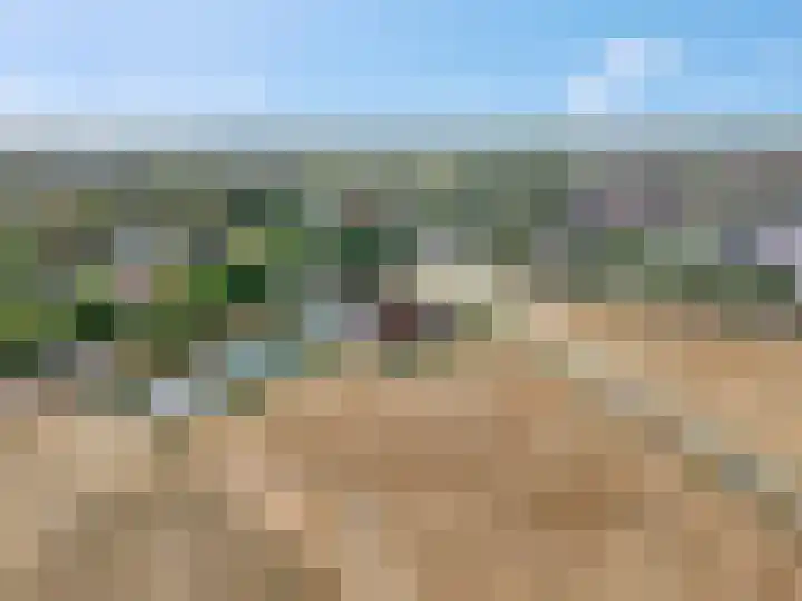 Hicksweg 7 Renkum thumbnail 24