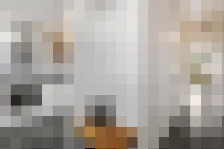 Hicksweg 7 Renkum foto 3
