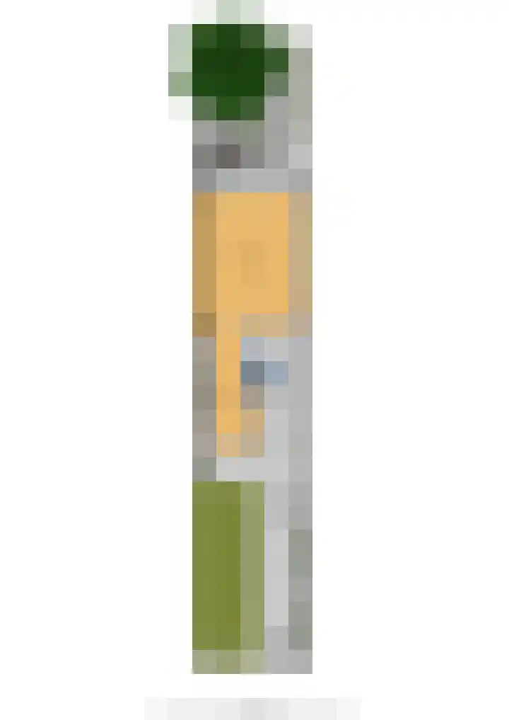Hicksweg 7 Renkum thumbnail 30