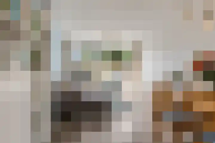 Hicksweg 7 Renkum thumbnail 6