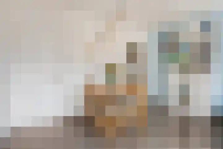 Hicksweg 7 Renkum thumbnail 8