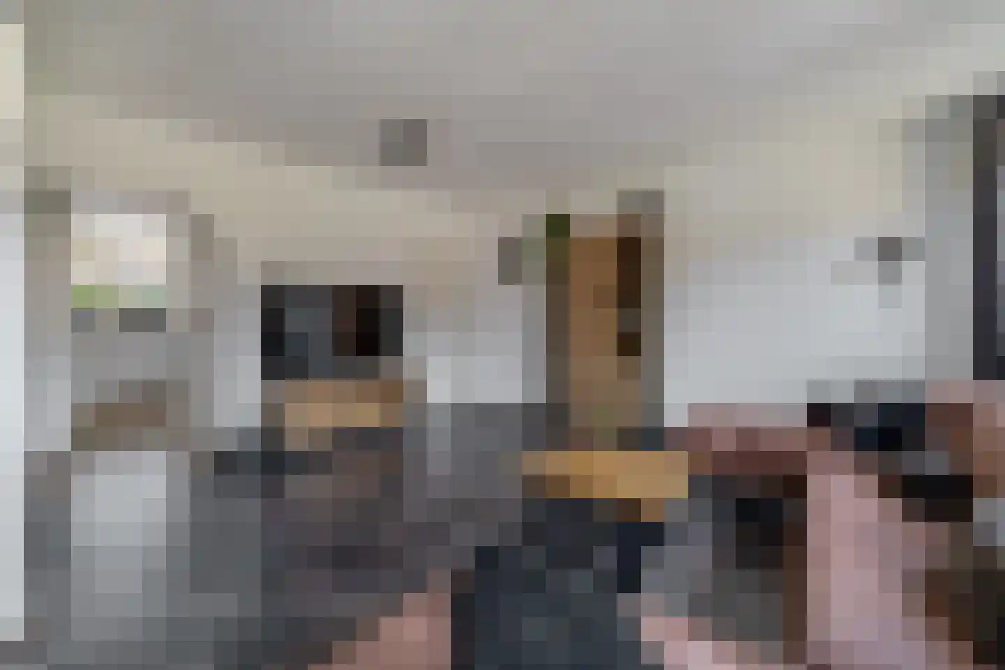 Hicksweg 73 Renkum thumbnail 17