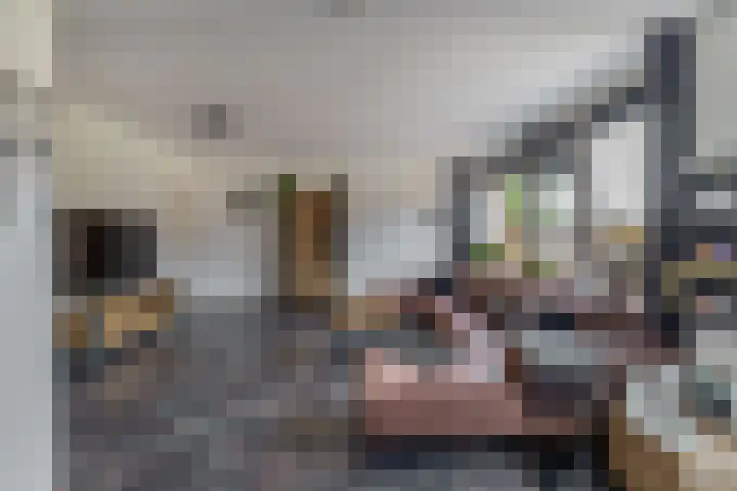Hicksweg 73 Renkum thumbnail 19