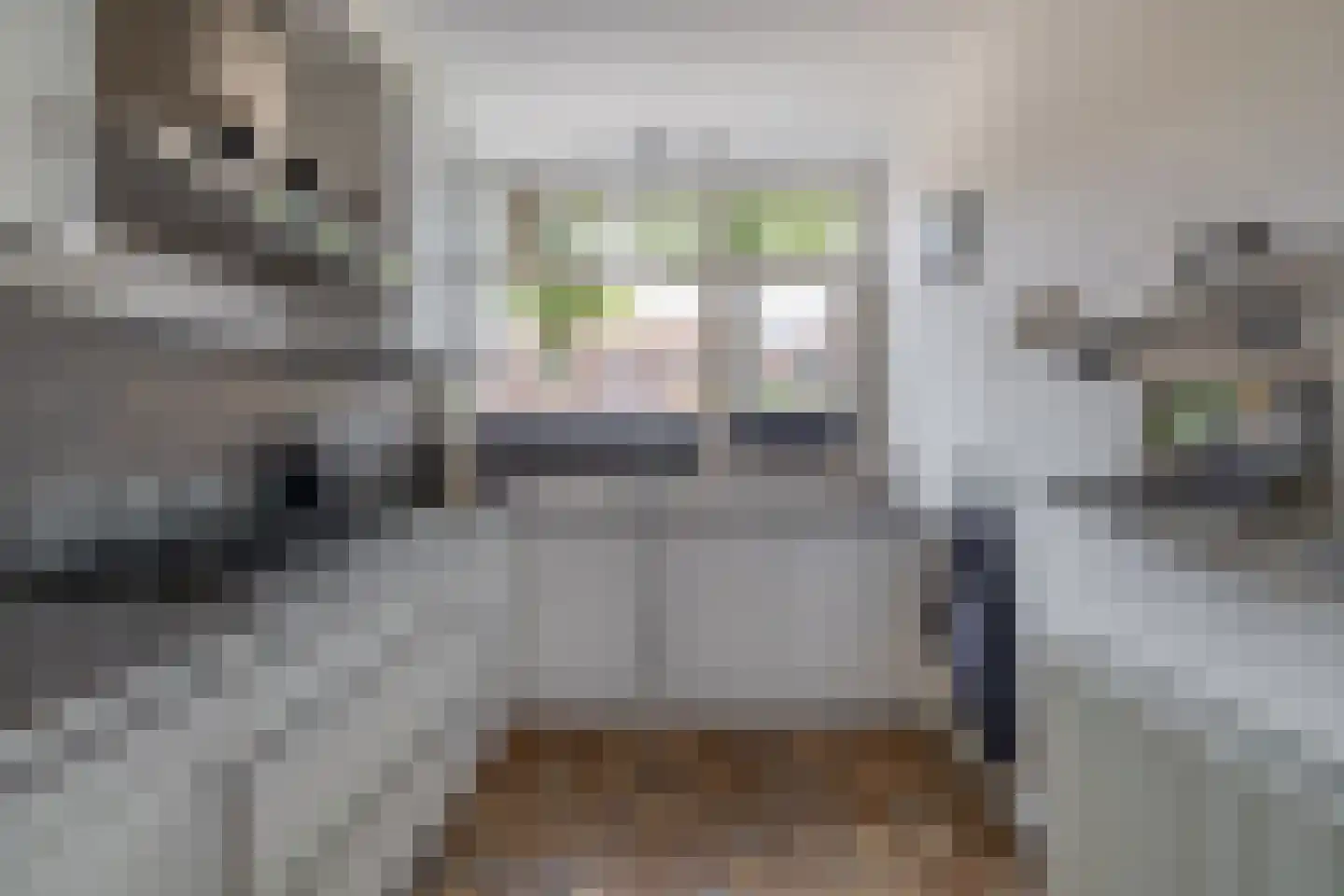 Hicksweg 73 Renkum thumbnail 20