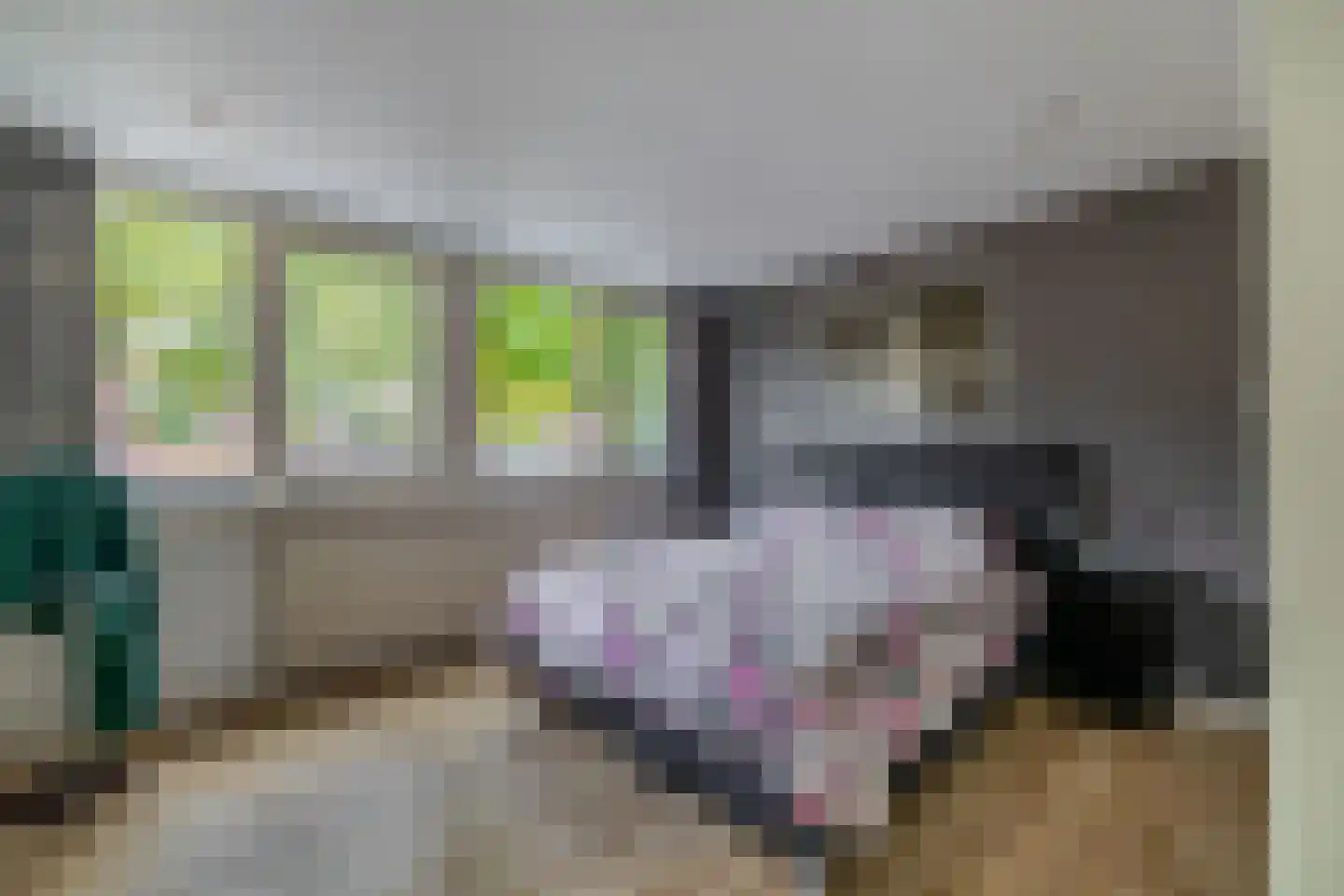 Hicksweg 73 Renkum thumbnail 24