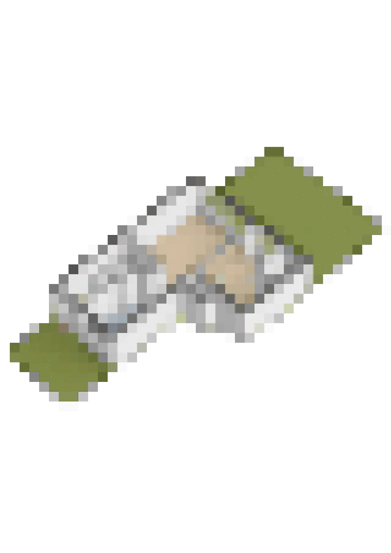 Hicksweg 73 Renkum thumbnail 44