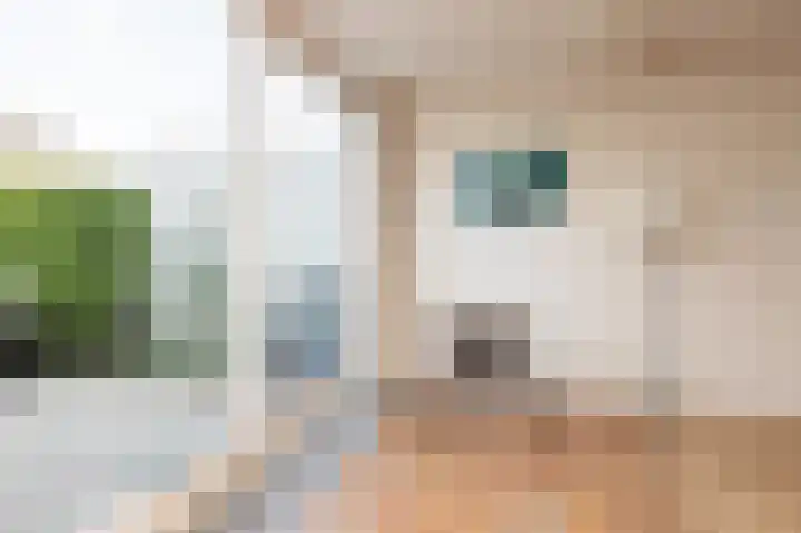 Hid Heroplantsoen 4 Bolsward thumbnail 11