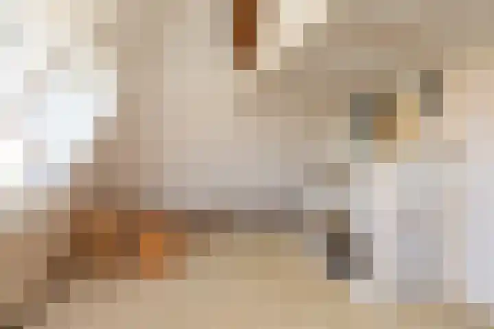 Hid Heroplantsoen 4 Bolsward thumbnail 35