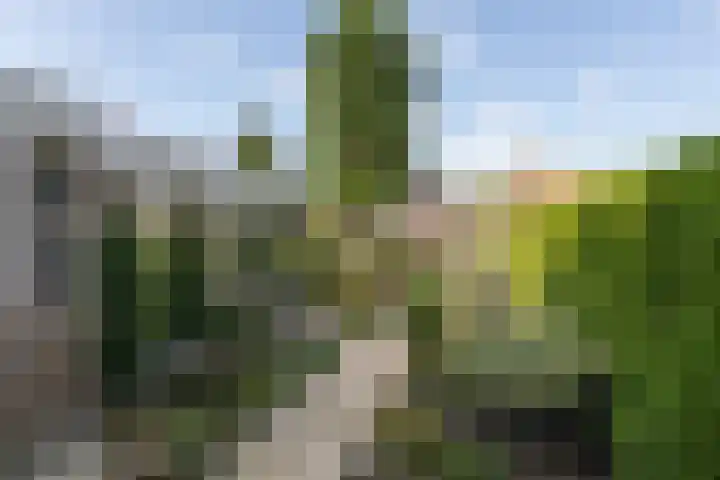 Hid Heroplantsoen 4 Bolsward thumbnail 39