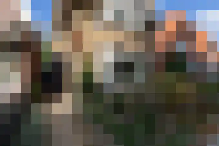 Hid Heroplantsoen 4 Bolsward thumbnail 4