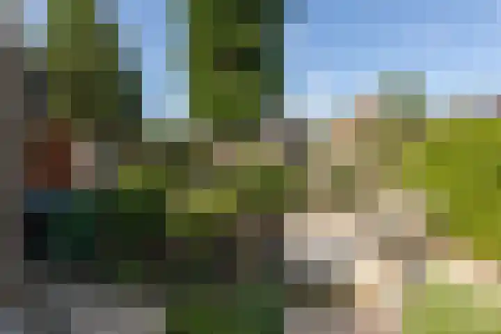 Hid Heroplantsoen 4 Bolsward thumbnail 40