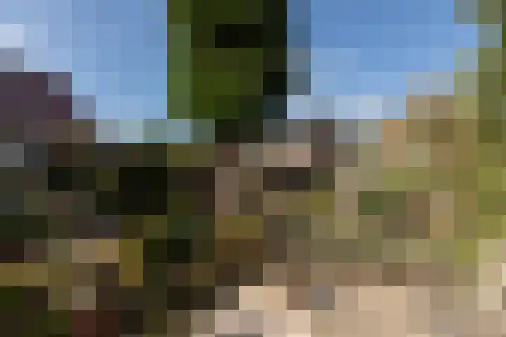 Hid Heroplantsoen 4 Bolsward thumbnail 41