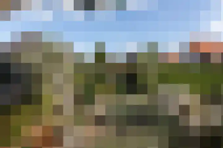 Hid Heroplantsoen 4 Bolsward thumbnail 42