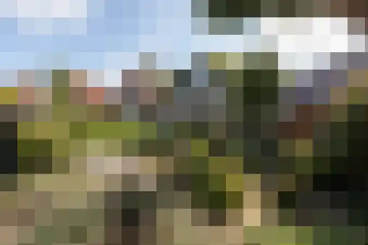Hid Heroplantsoen 4 Bolsward thumbnail 43