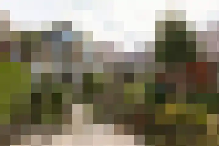 Hid Heroplantsoen 4 Bolsward thumbnail 44