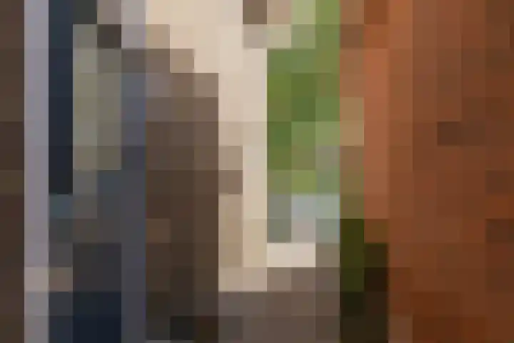 Hid Heroplantsoen 4 Bolsward thumbnail 45
