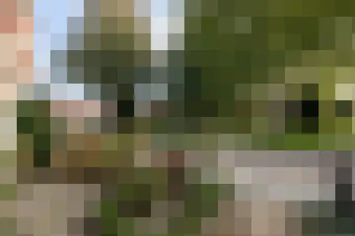 Hid Heroplantsoen 4 Bolsward thumbnail 46